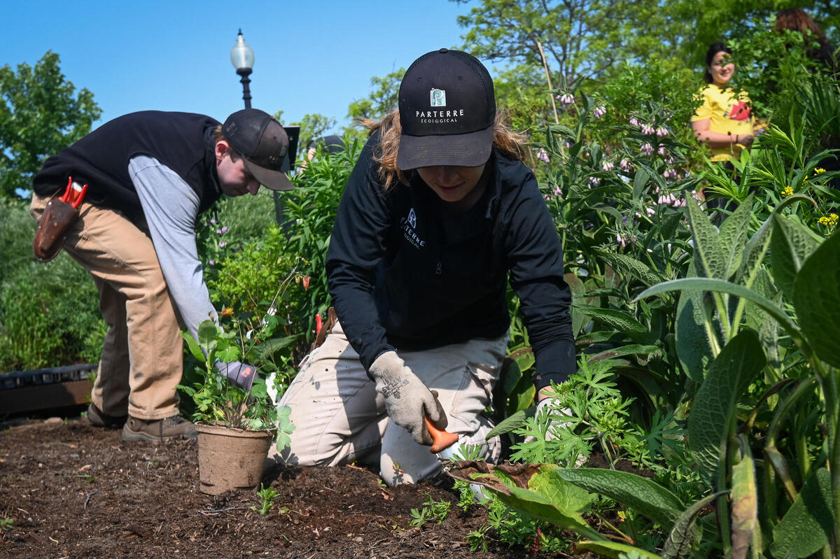 Support Community Gardens in Neighborhoods with Limited Access to Affordable Food