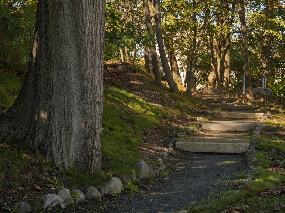 Geneva Cliffs by Lisa McCarty