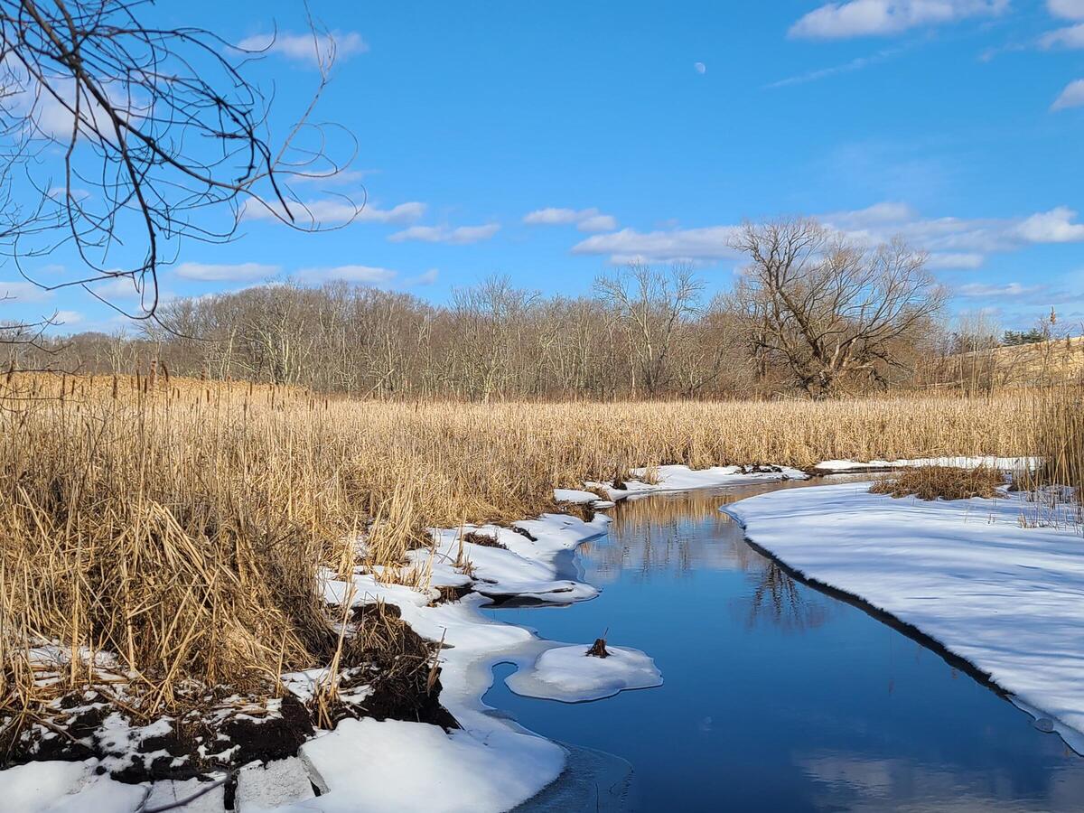 Millennium Shoreline