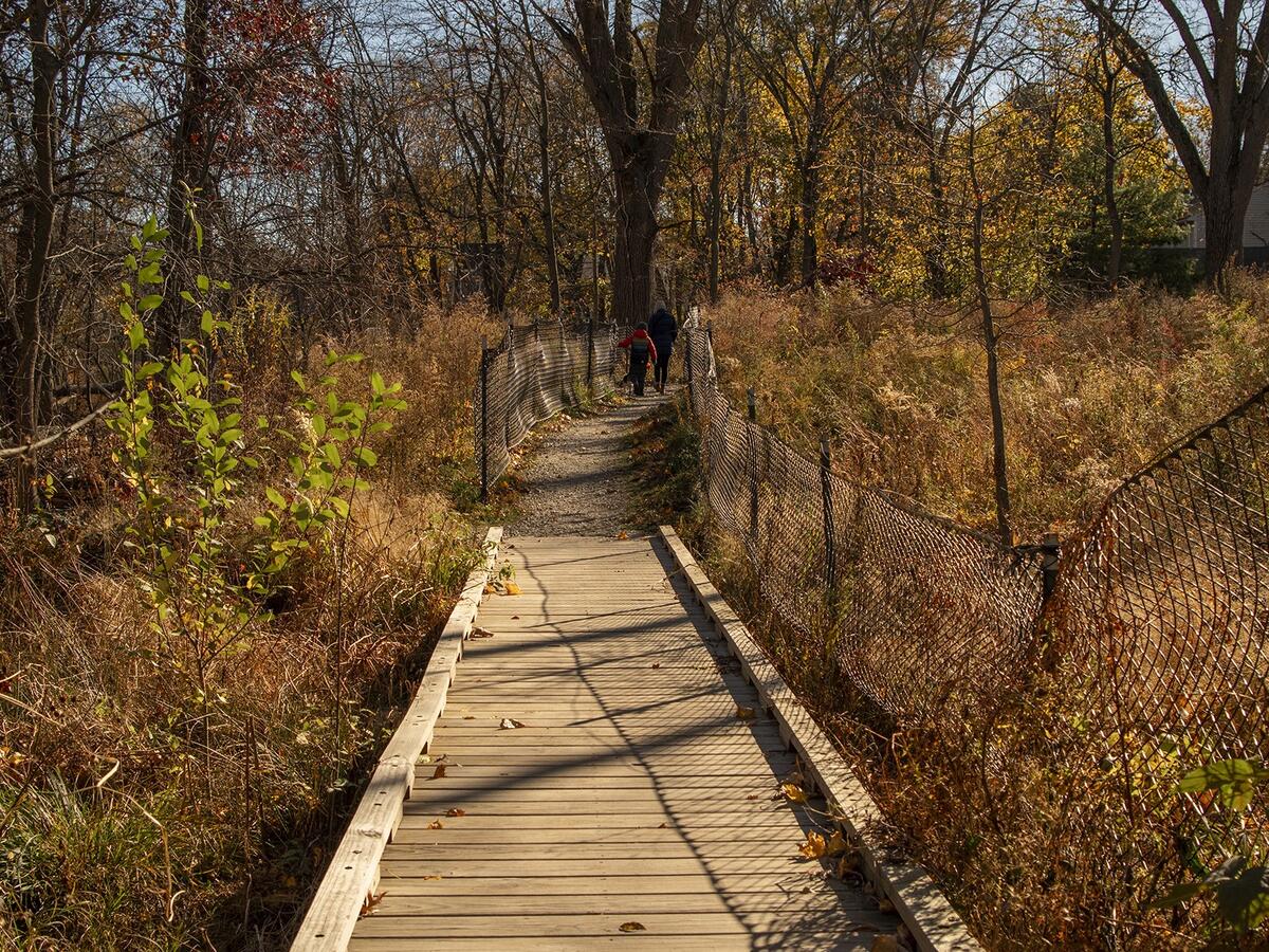 Roslindale Wetlands by Lisa McCarty