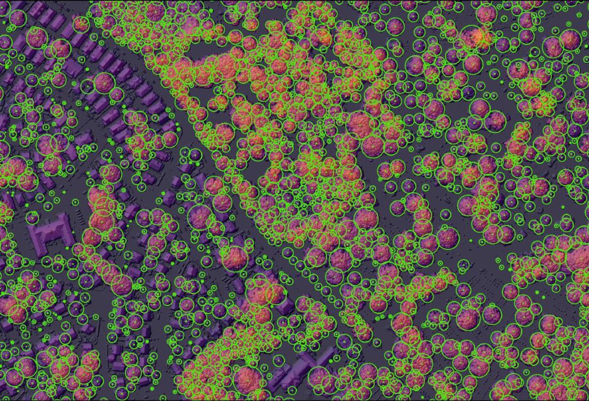A satellite image of trees in Boston with a diagram superimposed delineating the canopy of each tree.
