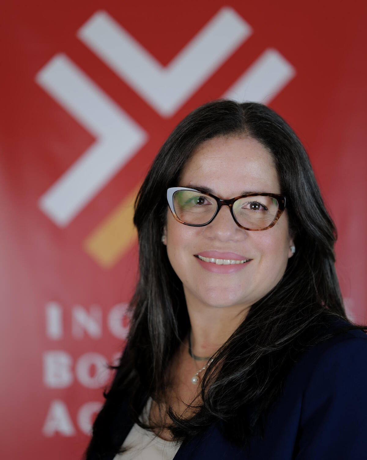 Chief Operating Officer at Inquilinos Boricuas En Acción
