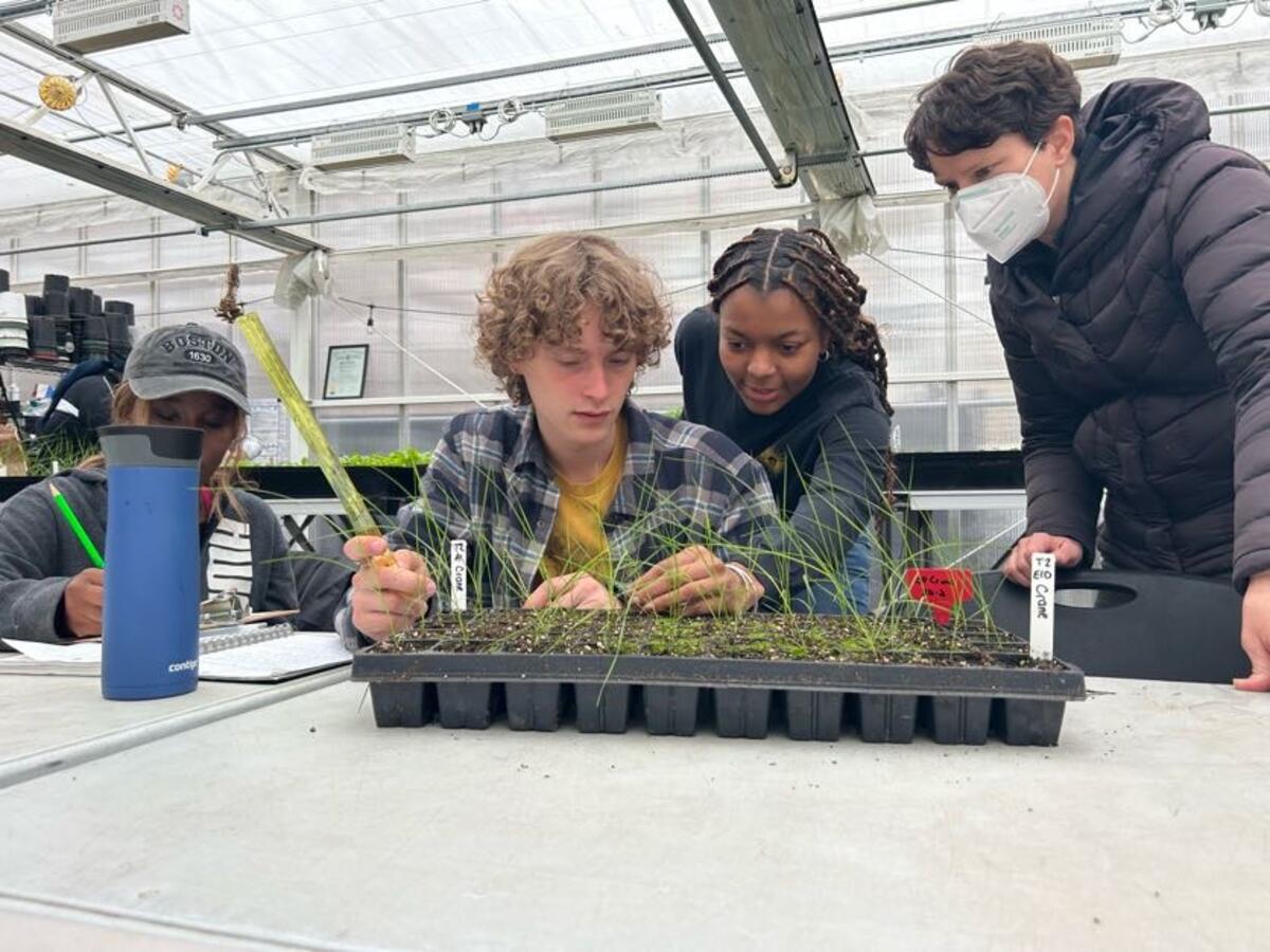 Climate Corps