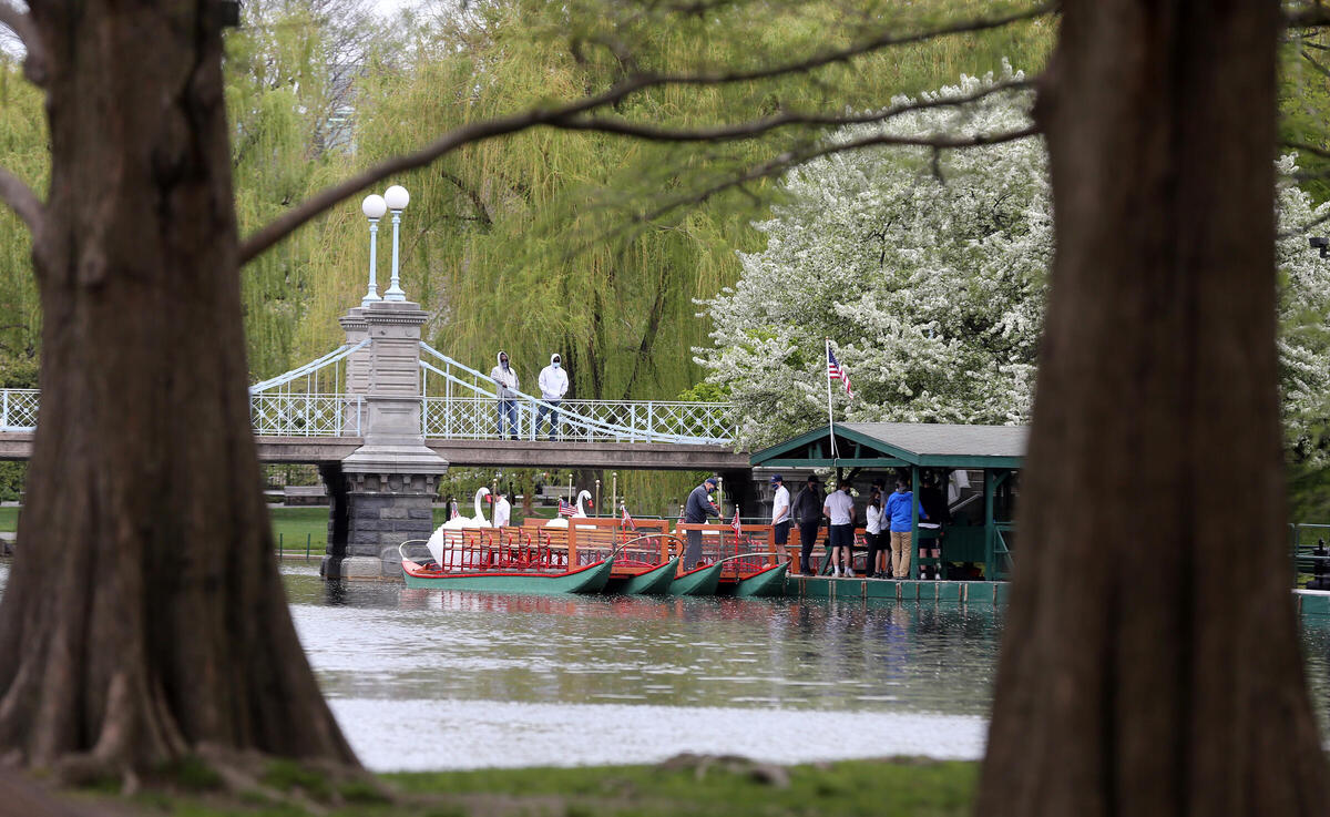 Boston Public Garden- Short Story