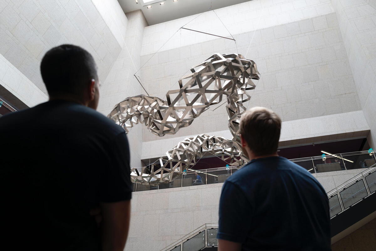 two people seen from behind watching a sculpture being installed 