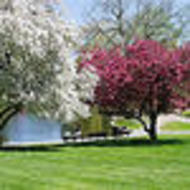 Image for discover boston parks