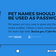 Pet name as Password