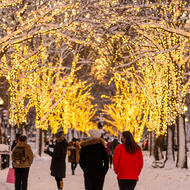 Holiday lights on the Commonwealth Avenue mall