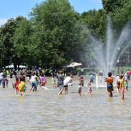 frog pond opening