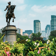 Public Garden and Skyline