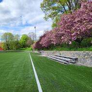 Ceylon Park soccer field and cherry trees in bloom