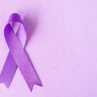 Purple ribbon for Domestic Violence Awareness Month