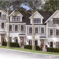 1 Selkirk Rendering. 