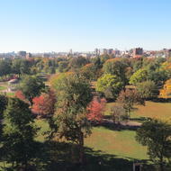 Image for join the city of boston’s community preservation committee