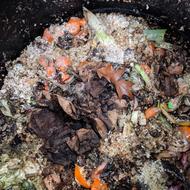 Image for compost pic 8