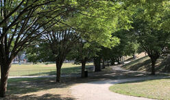 Ringer Park in Allston
